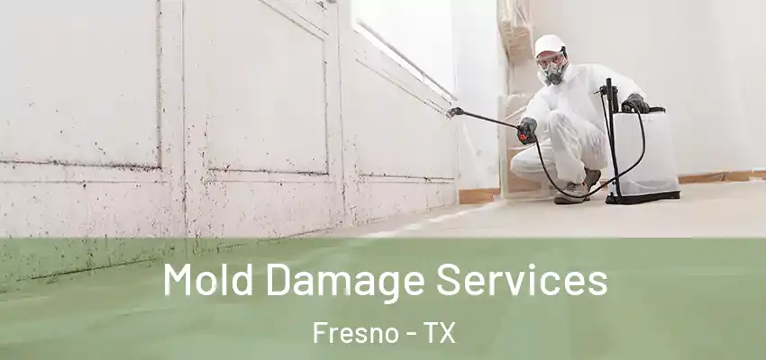 Mold Damage Services Fresno - TX