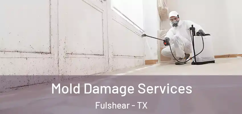  Mold Damage Services Fulshear - TX
