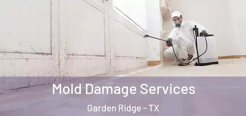 Mold Damage Services Garden Ridge - TX