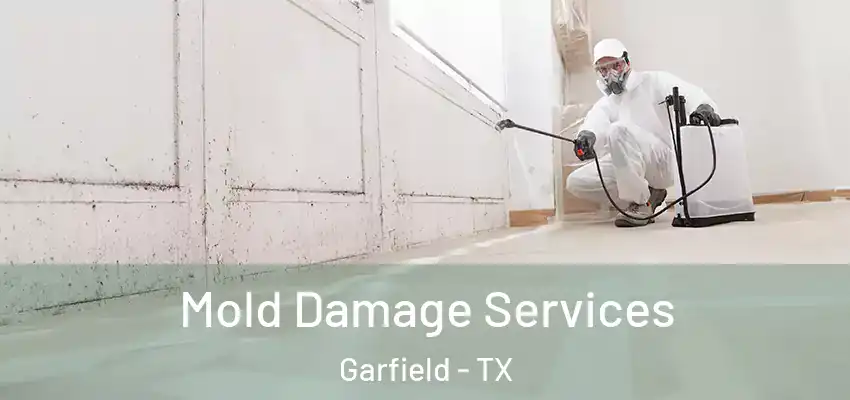  Mold Damage Services Garfield - TX