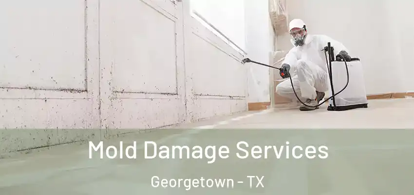  Mold Damage Services Georgetown - TX