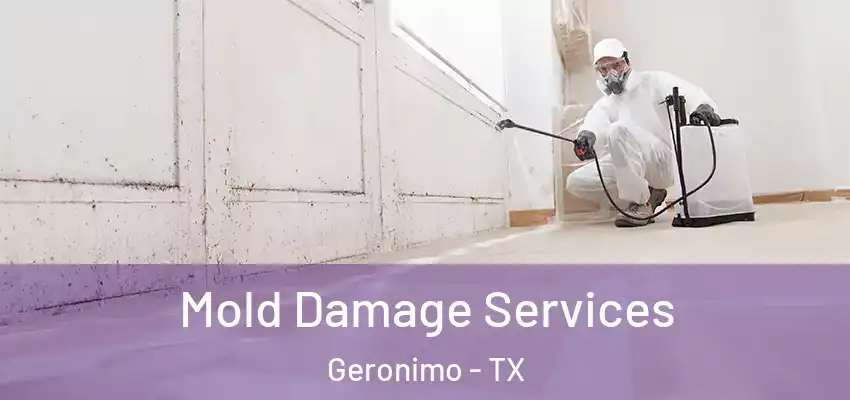  Mold Damage Services Geronimo - TX