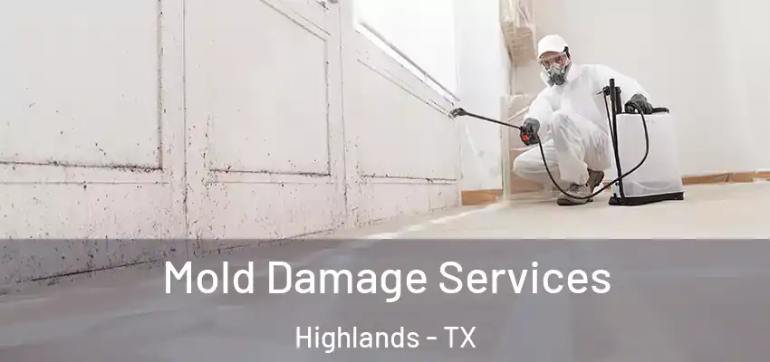 Mold Damage Services Highlands - TX