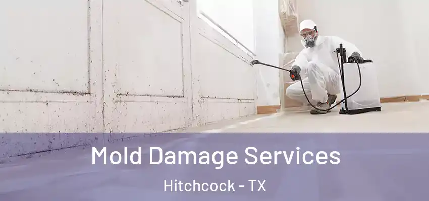 Mold Damage Services Hitchcock - TX