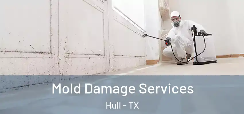  Mold Damage Services Hull - TX