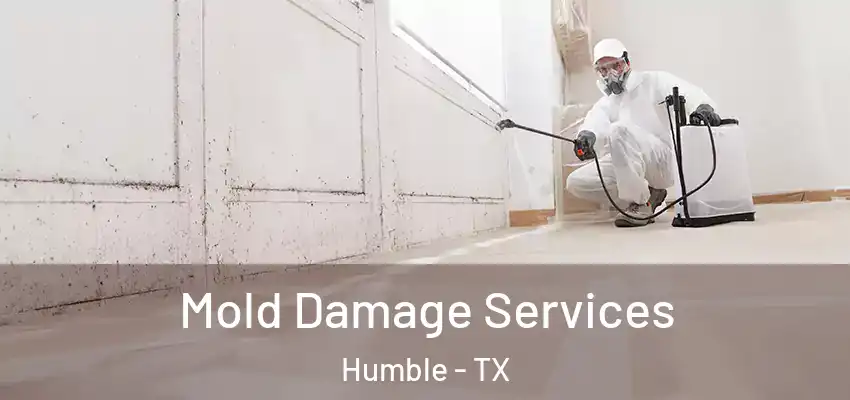 Mold Damage Services Humble - TX