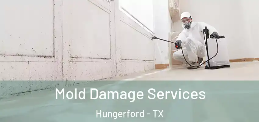 Mold Damage Services Hungerford - TX