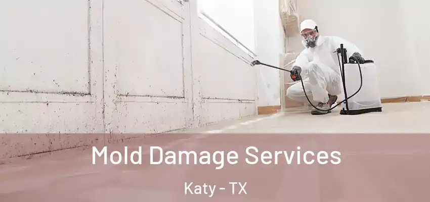  Mold Damage Services Katy - TX