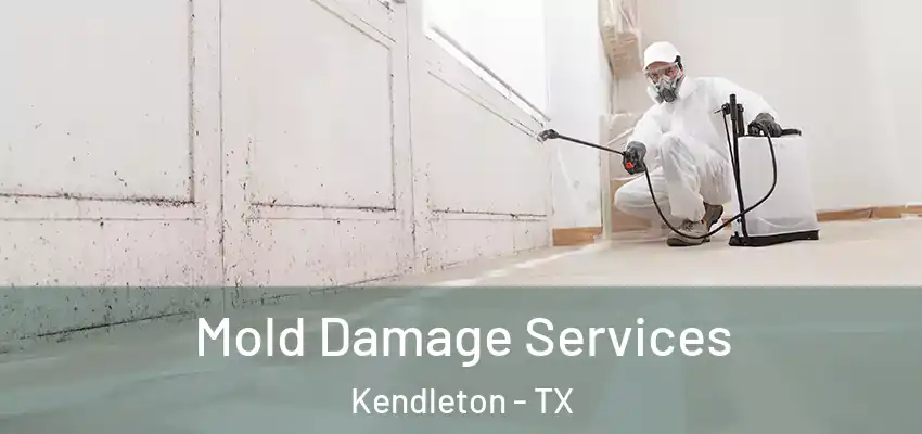  Mold Damage Services Kendleton - TX