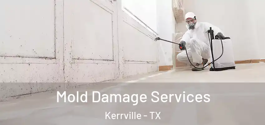  Mold Damage Services Kerrville - TX