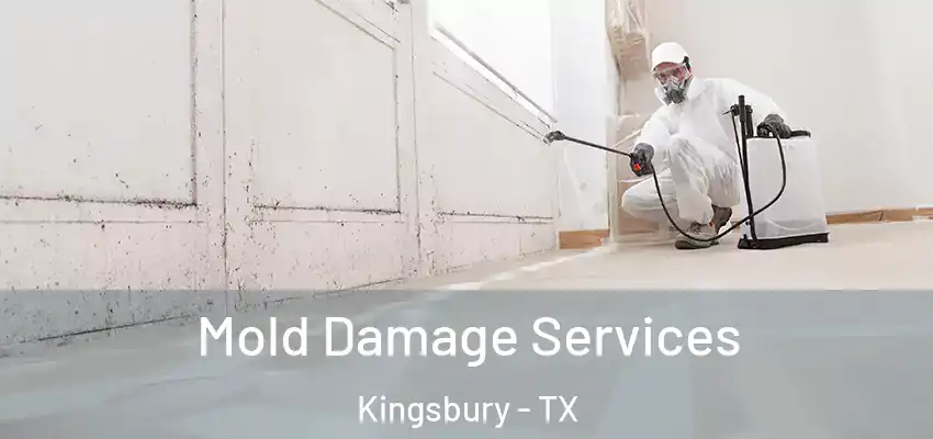  Mold Damage Services Kingsbury - TX