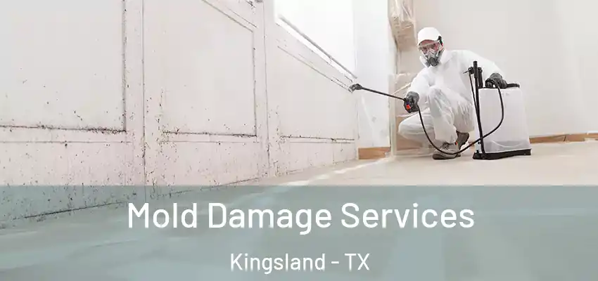 Mold Damage Services Kingsland - TX
