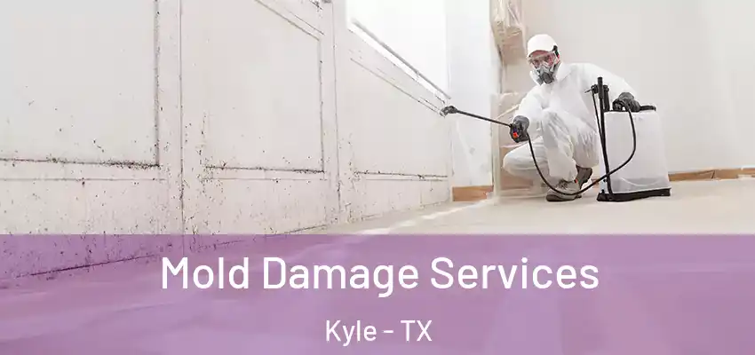  Mold Damage Services Kyle - TX