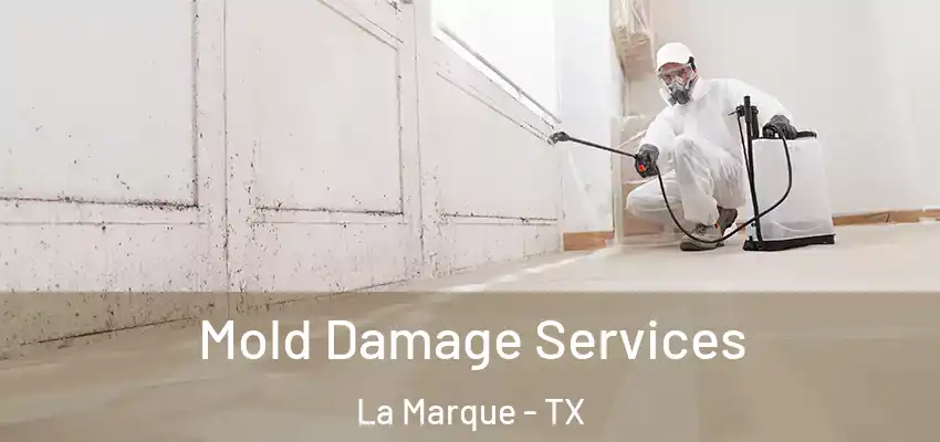 Mold Damage Services La Marque - TX
