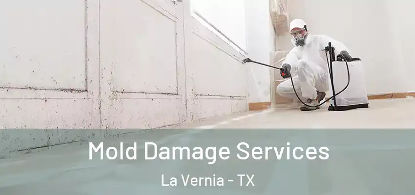  Mold Damage Services La Vernia - TX