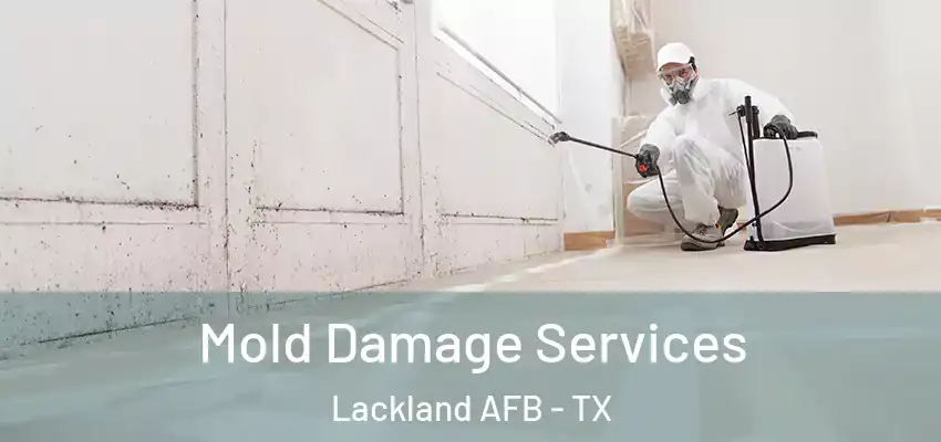  Mold Damage Services Lackland AFB - TX