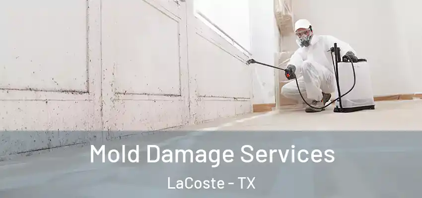  Mold Damage Services LaCoste - TX