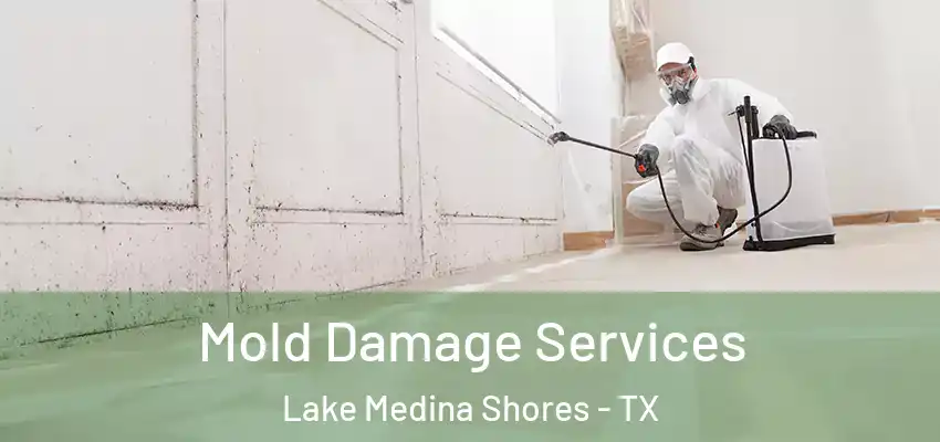 Mold Damage Services Lake Medina Shores - TX