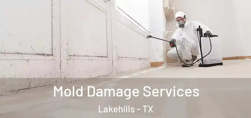 Mold Damage Services Lakehills - TX