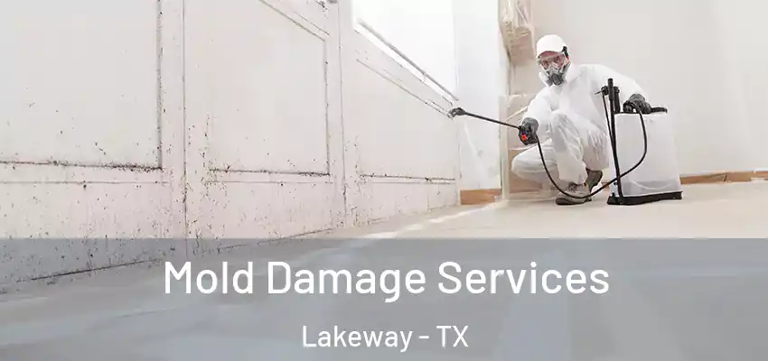  Mold Damage Services Lakeway - TX