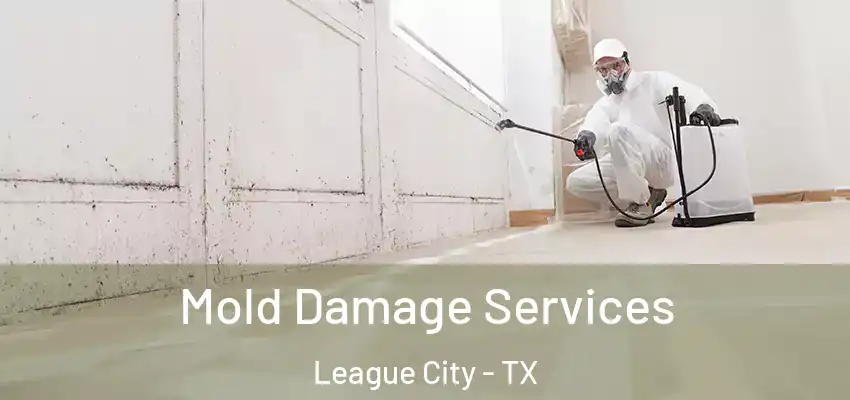  Mold Damage Services League City - TX