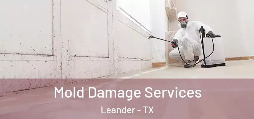 Mold Damage Services Leander - TX