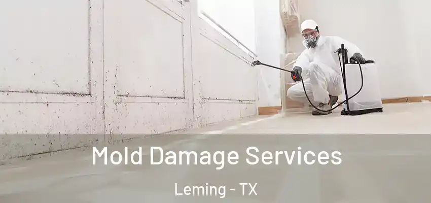  Mold Damage Services Leming - TX