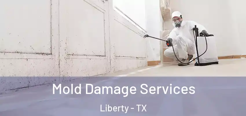  Mold Damage Services Liberty - TX