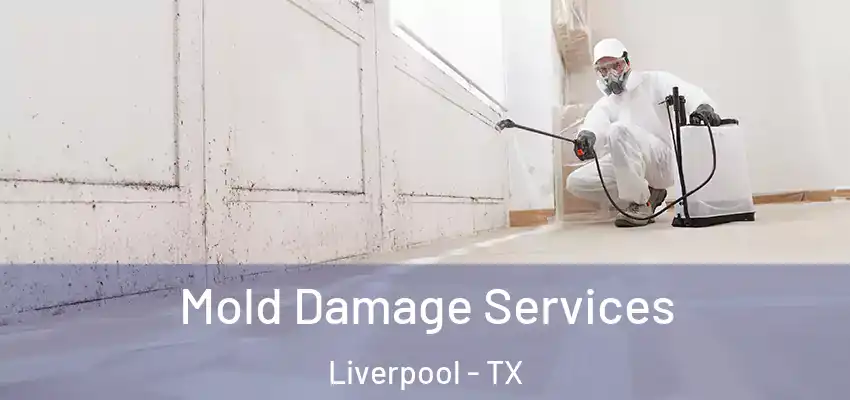  Mold Damage Services Liverpool - TX