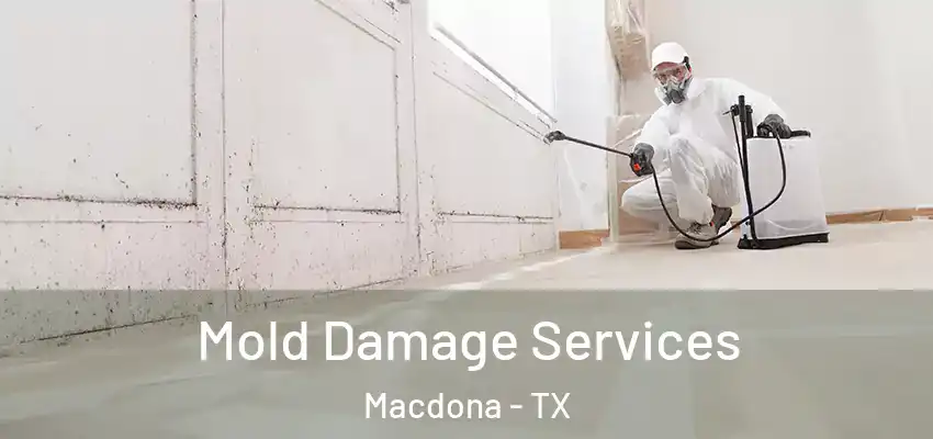  Mold Damage Services Macdona - TX
