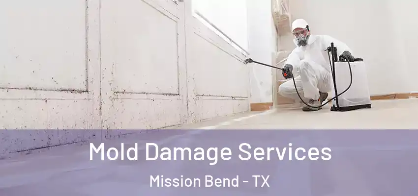 Mold Damage Services Mission Bend - TX