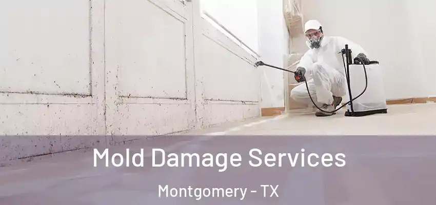 Mold Damage Services Montgomery - TX