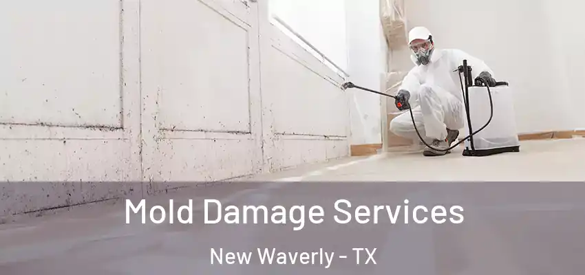  Mold Damage Services New Waverly - TX