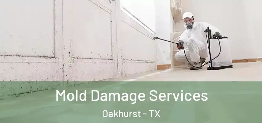  Mold Damage Services Oakhurst - TX