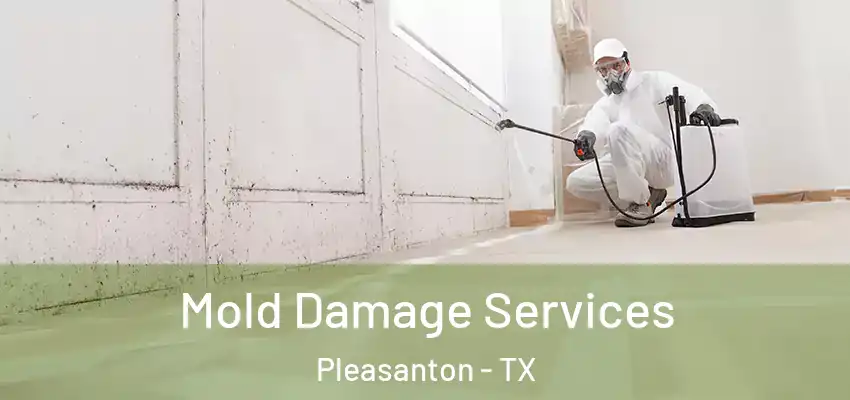  Mold Damage Services Pleasanton - TX
