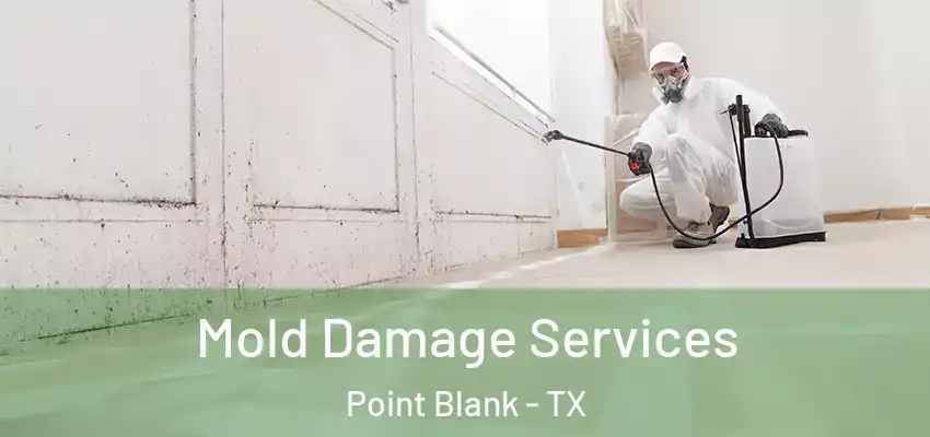  Mold Damage Services Point Blank - TX