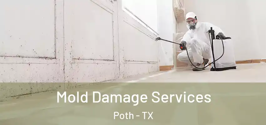  Mold Damage Services Poth - TX