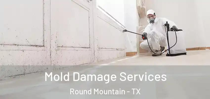 Mold Damage Services Round Mountain - TX