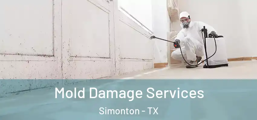  Mold Damage Services Simonton - TX