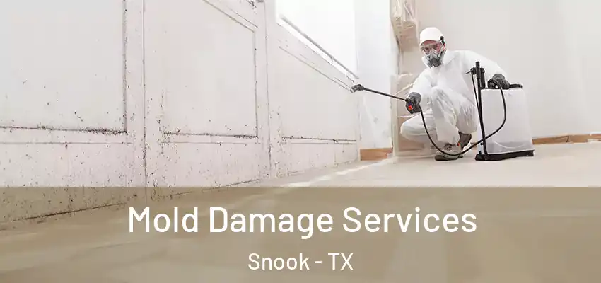  Mold Damage Services Snook - TX