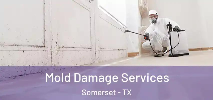  Mold Damage Services Somerset - TX