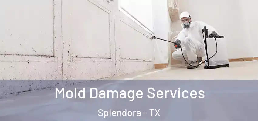  Mold Damage Services Splendora - TX