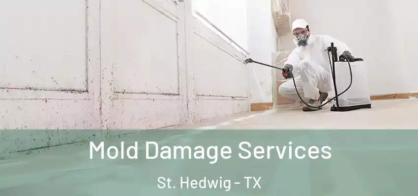 Mold Damage Services St. Hedwig - TX