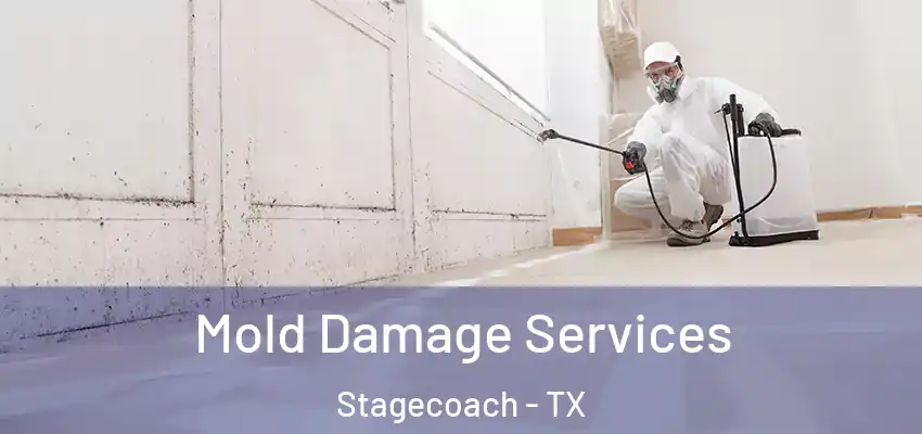  Mold Damage Services Stagecoach - TX