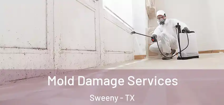  Mold Damage Services Sweeny - TX