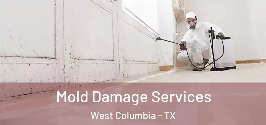  Mold Damage Services West Columbia - TX