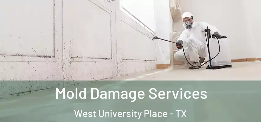  Mold Damage Services West University Place - TX