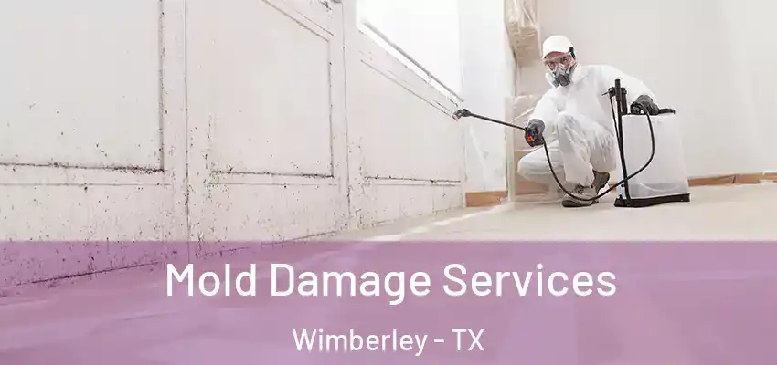  Mold Damage Services Wimberley - TX
