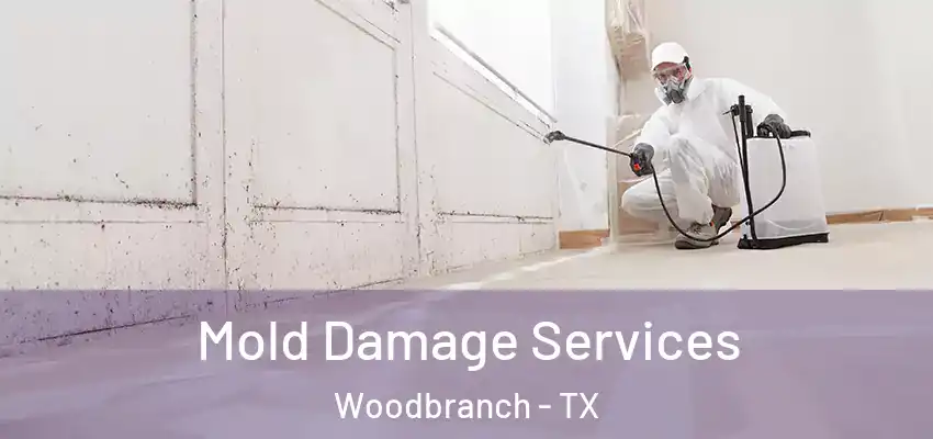  Mold Damage Services Woodbranch - TX