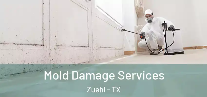  Mold Damage Services Zuehl - TX